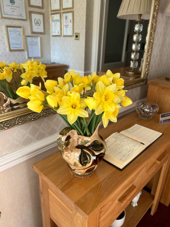 Elmdene Otel Torquay Dış mekan fotoğraf